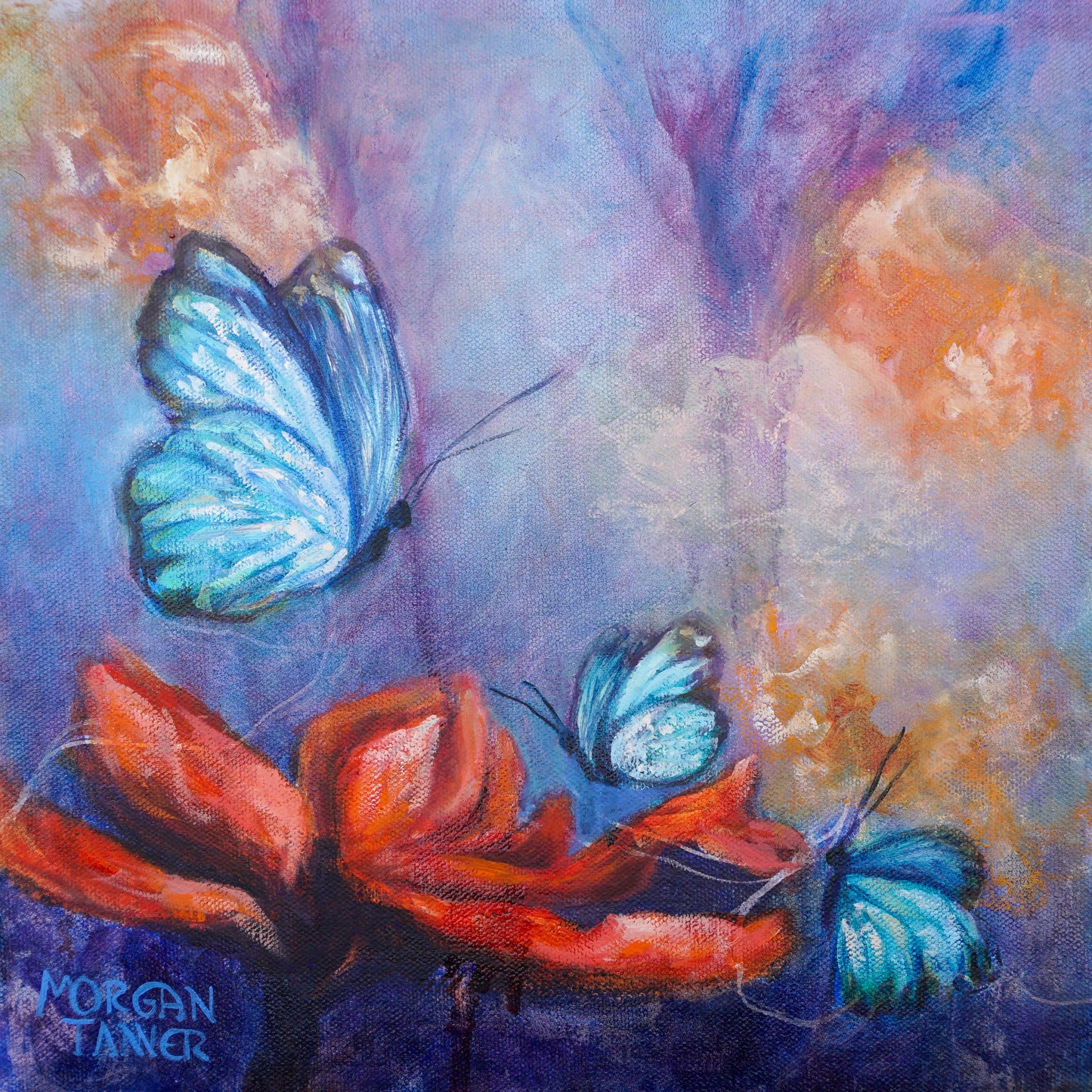 Sun Behind the Clouds