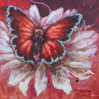 Moment of Forgiveness